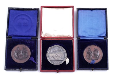 Lot 293 - A Royal Humane Society Proficiency in Swimming / Saving a Life From Drowning medal