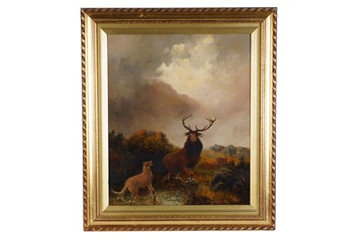 Lot 322 - Thomas Henry Gibb - Stag at Bay | oil