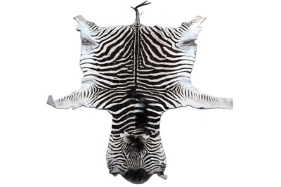Lot 158 - A zebra hide rug